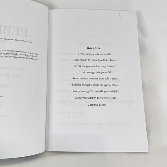 Pebbles in the Pond Transforming The World Christine Kloser 2015 Trade Paperback - Picture 5 of 7